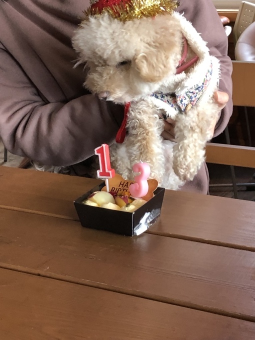 b0369239_16322100.jpeg