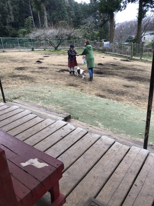 b0369239_16345161.jpeg
