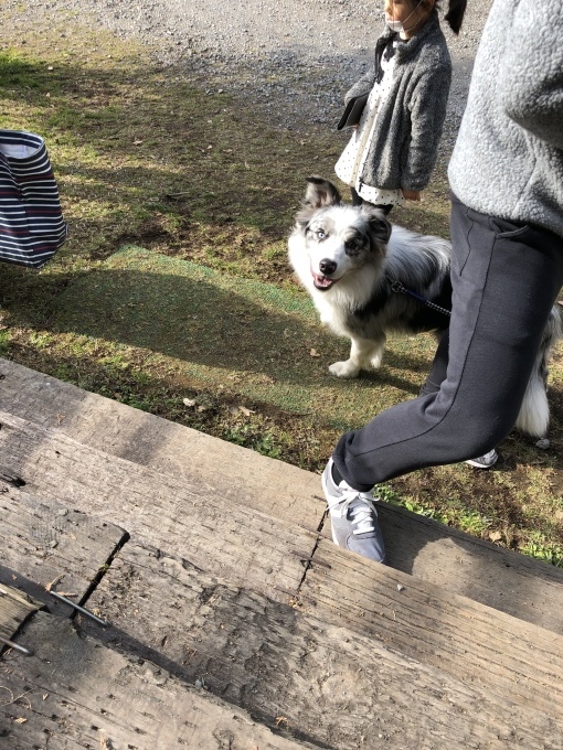 b0369239_16350687.jpeg