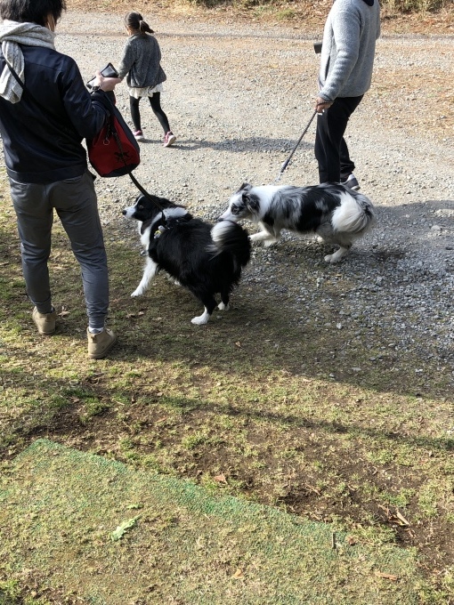 b0369239_16351726.jpeg
