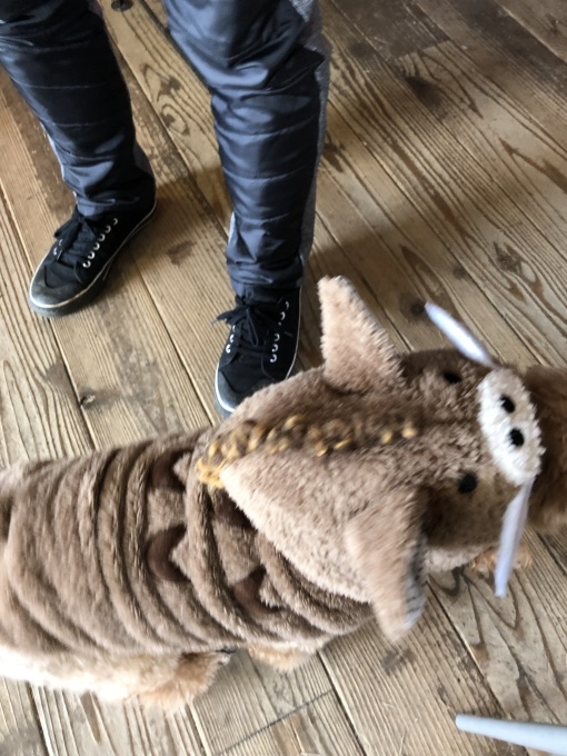 b0369239_16353467.jpeg