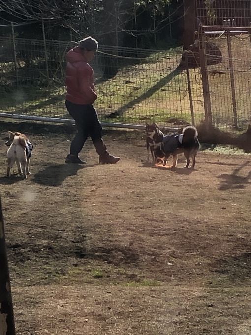 b0369239_16375547.jpeg