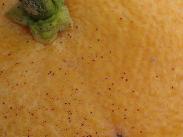 d0378939_09281419.jpg
