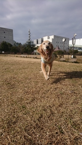 a0329943_16482890.jpg