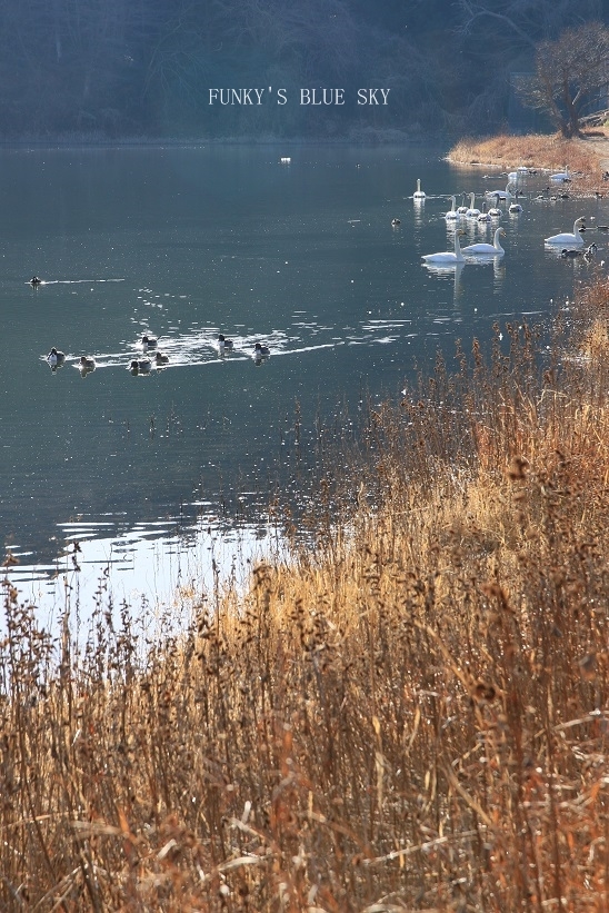 c0145250_09493625.jpg