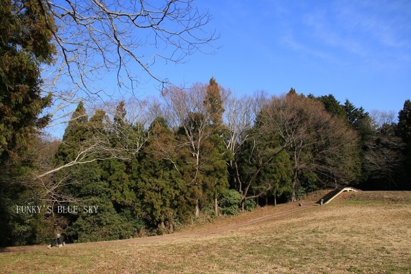 c0145250_09494870.jpg