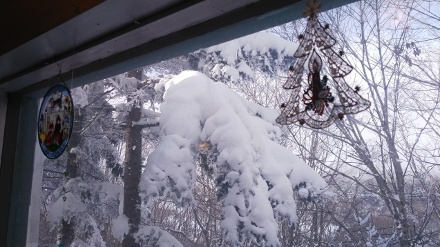 年末年始　菅平スキー場　雪遊び　その③_e0200357_11185901.jpg