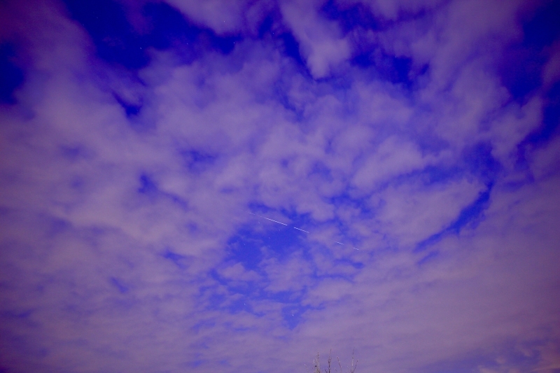 a0248459_15282148.jpg