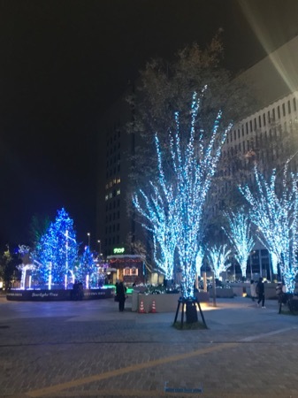 c0124359_11585211.jpg