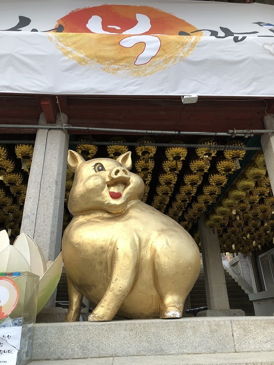 心もすっきりになる大邱のこの場所で_b0060363_16325474.jpeg