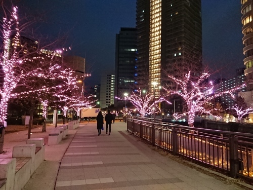 木村さんのこと_c0100865_12251073.jpg