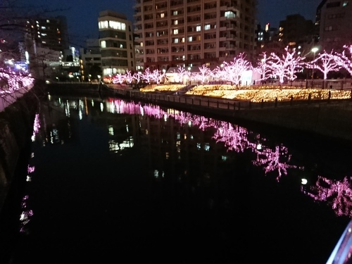 木村さんのこと_c0100865_12252210.jpg