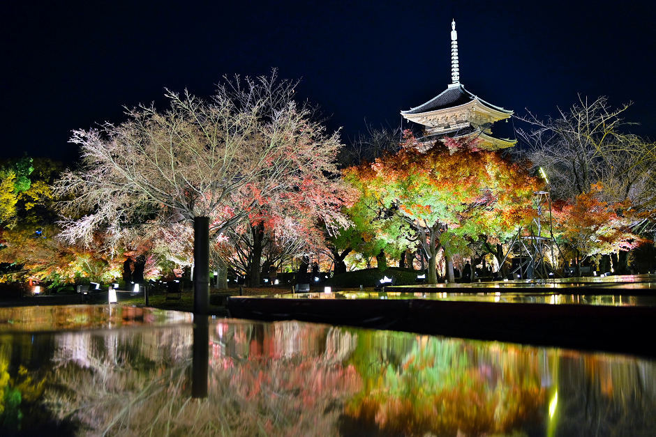 東寺ライトアップ　紅葉2018_f0021869_15074276.jpg