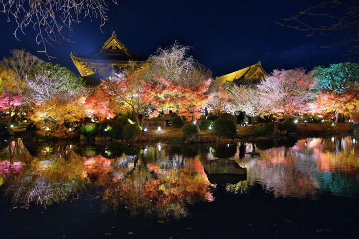 東寺ライトアップ　紅葉2018_f0021869_15074295.jpg