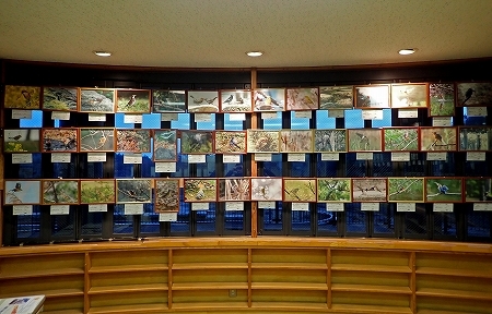 ★葛西の公園・野鳥写真展の開催_e0046474_10220416.jpg