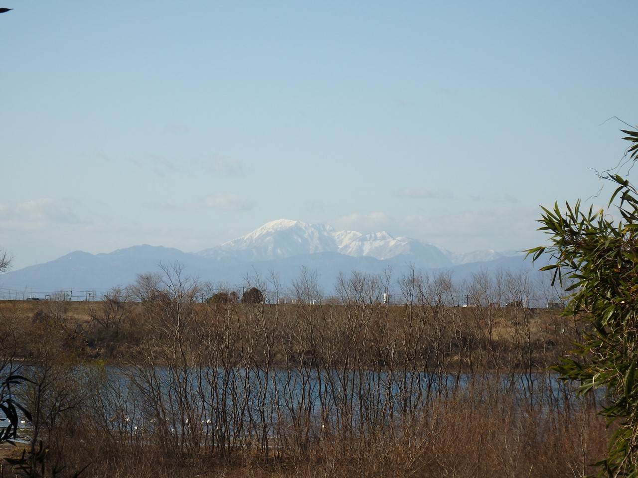 d0054276_19562314.jpg