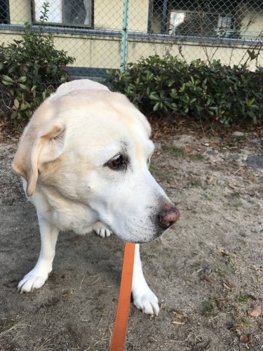 f0315081_16465751.jpeg