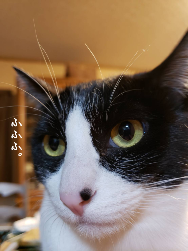 a0216583_21103134.png
