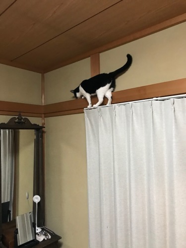 a0216583_21103526.jpeg