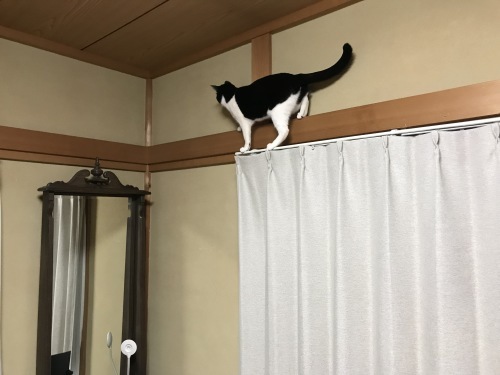 a0216583_21103831.jpeg