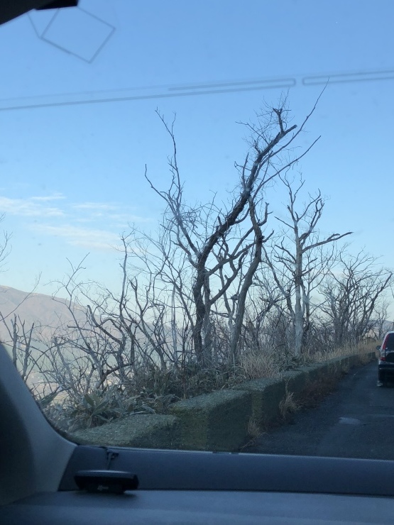 2019年1月13日 ひょっとして風邪_b0098584_18340991.jpeg