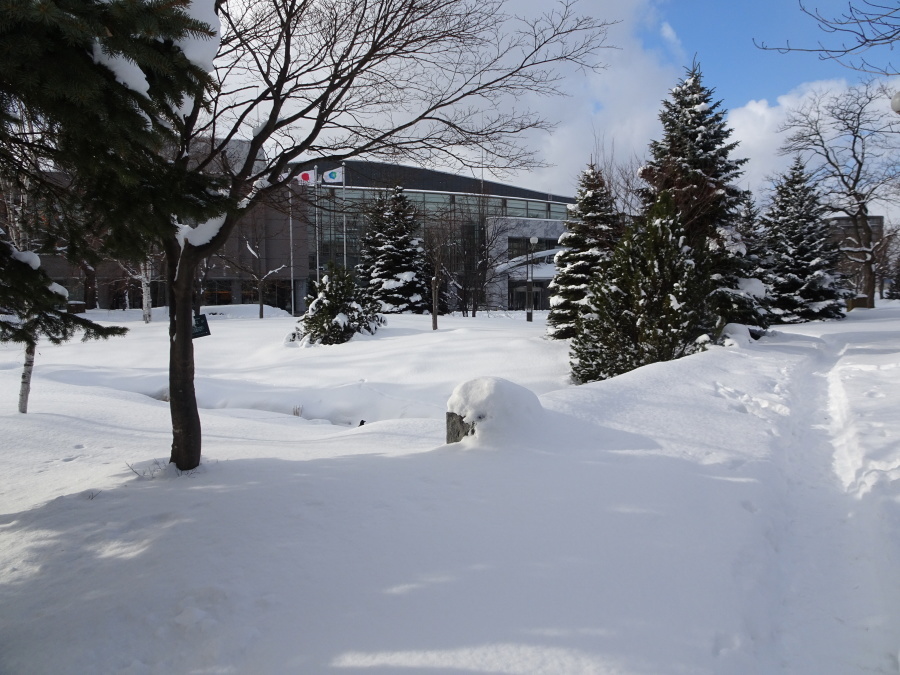 f0182885_09043818.jpg