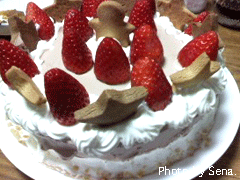 クリスマスはケーキを手作り？_f0094786_16495878.gif