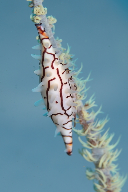 f0151886_17214878.jpg