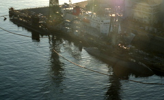 b0192588_8353985.jpg