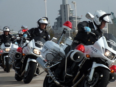 b0192588_8362131.jpg