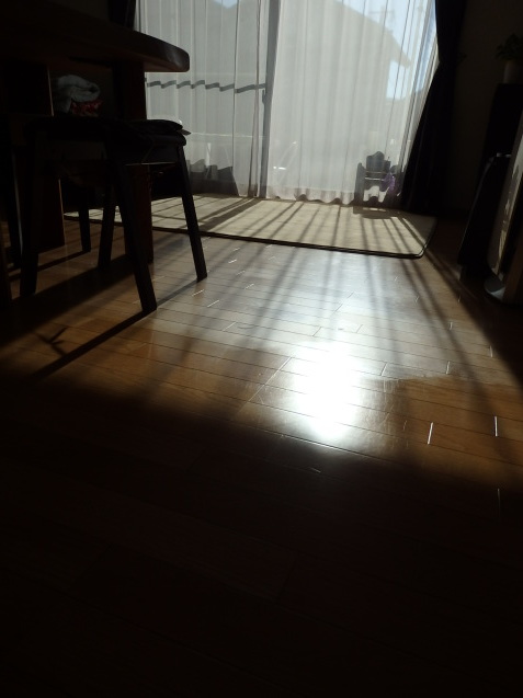 e0377404_18210795.jpg