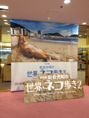 「写真展  岩合光昭の世界ネコ歩き２」_d0077607_15521294.jpg