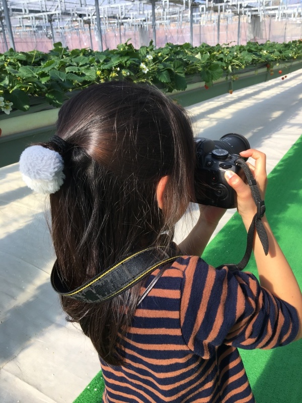 明日も10時半から。_d0367608_15395376.jpeg