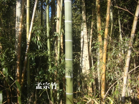 f0107509_09464228.jpg