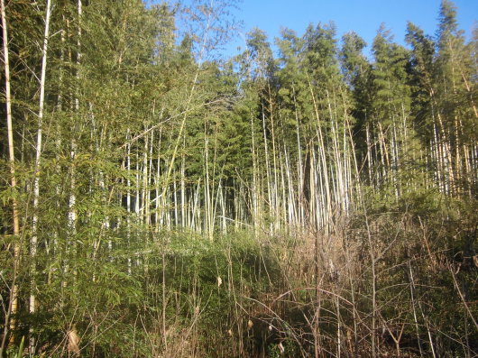f0107509_09464309.jpg