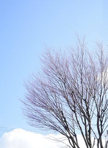 b0151911_11211138.jpg