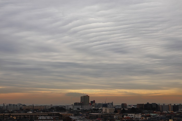 波状雲(高層雲）　_b0268615_725515.jpg