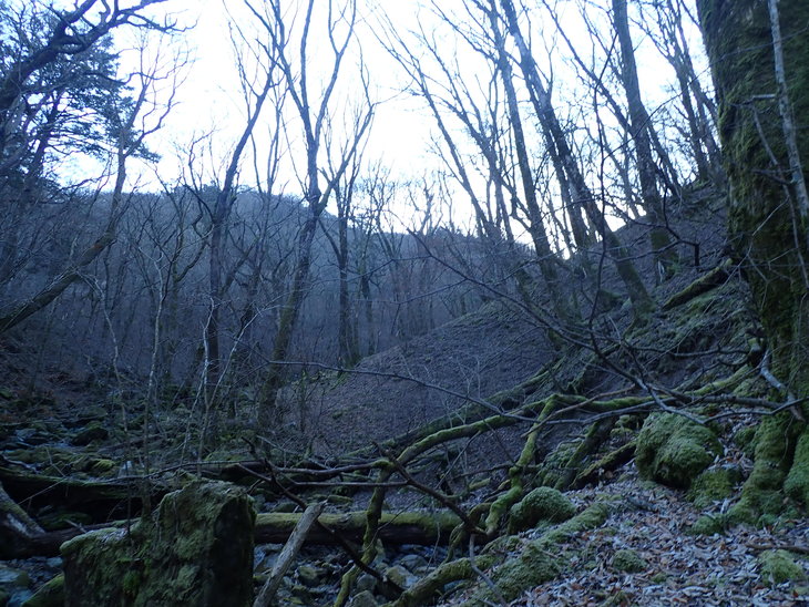 f0193521_17271290.jpg