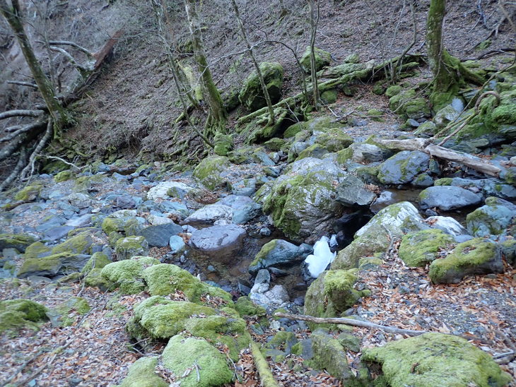 f0193521_17323117.jpg