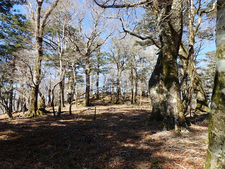 f0193521_20102375.jpg