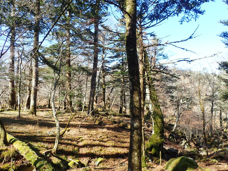 f0193521_2093170.jpg