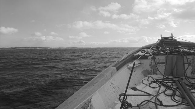 e0098223_22222304.jpg