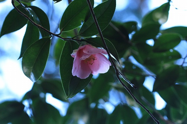 e0321325_10100748.jpg