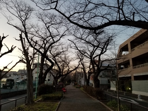 寒九、年寄りの冷や水というなかれ_e0016828_09235369.jpg