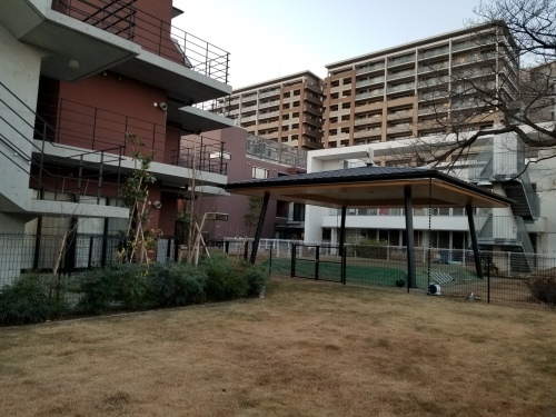 寒九、年寄りの冷や水というなかれ_e0016828_09241088.jpg