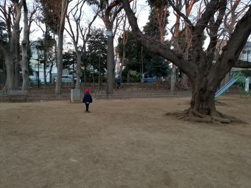 寒九、年寄りの冷や水というなかれ_e0016828_09243673.jpg