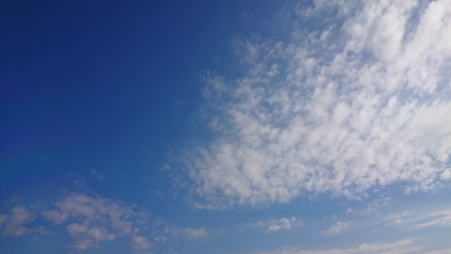 f0061531_10105679.jpg