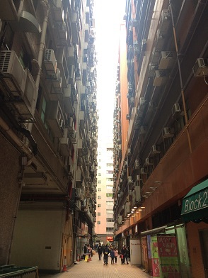 f0371533_11083710.jpg