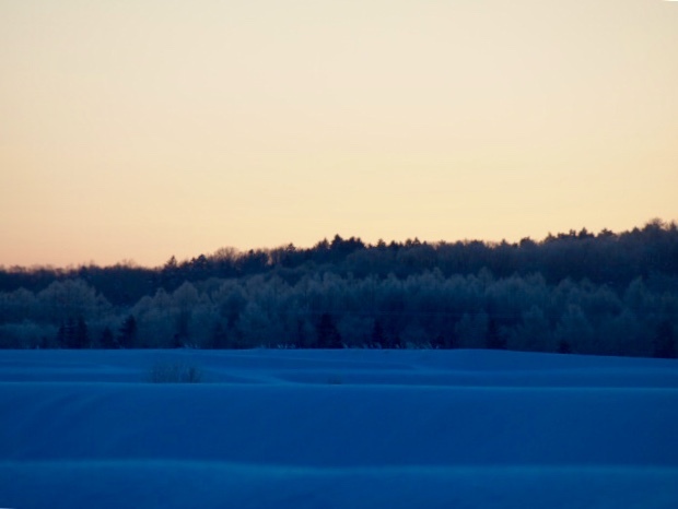 a0329935_10461443.jpeg