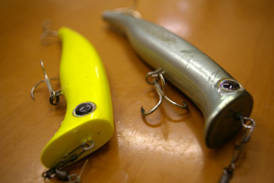b0312736_08500128.jpg